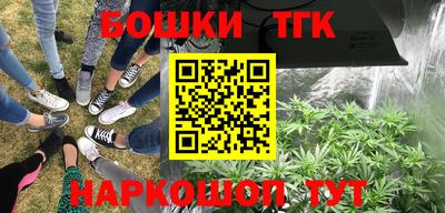 дмт Будённовск