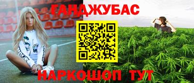 гашик Бузулук