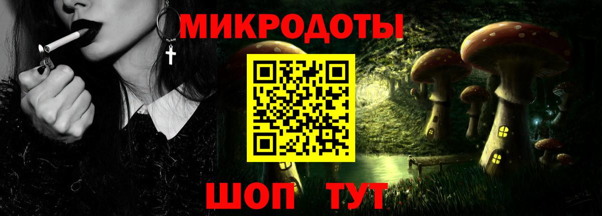 Псилоцибиновые грибы Psilocybe Прокопьевск