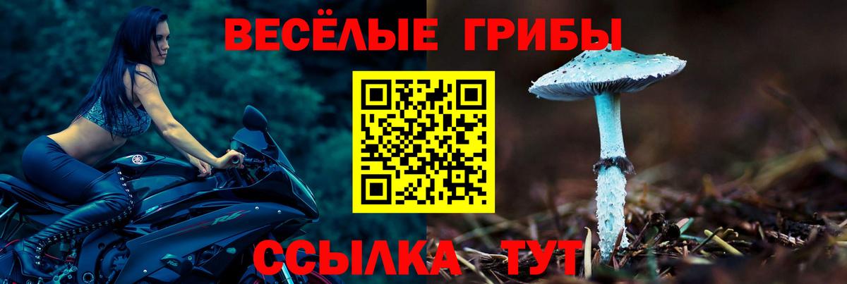 наркота  Галлюциногенные грибы мухоморы  Вход с VPN  Прокопьевск 